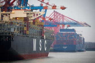 MSC-Containerschiff im Hamburger Hafen