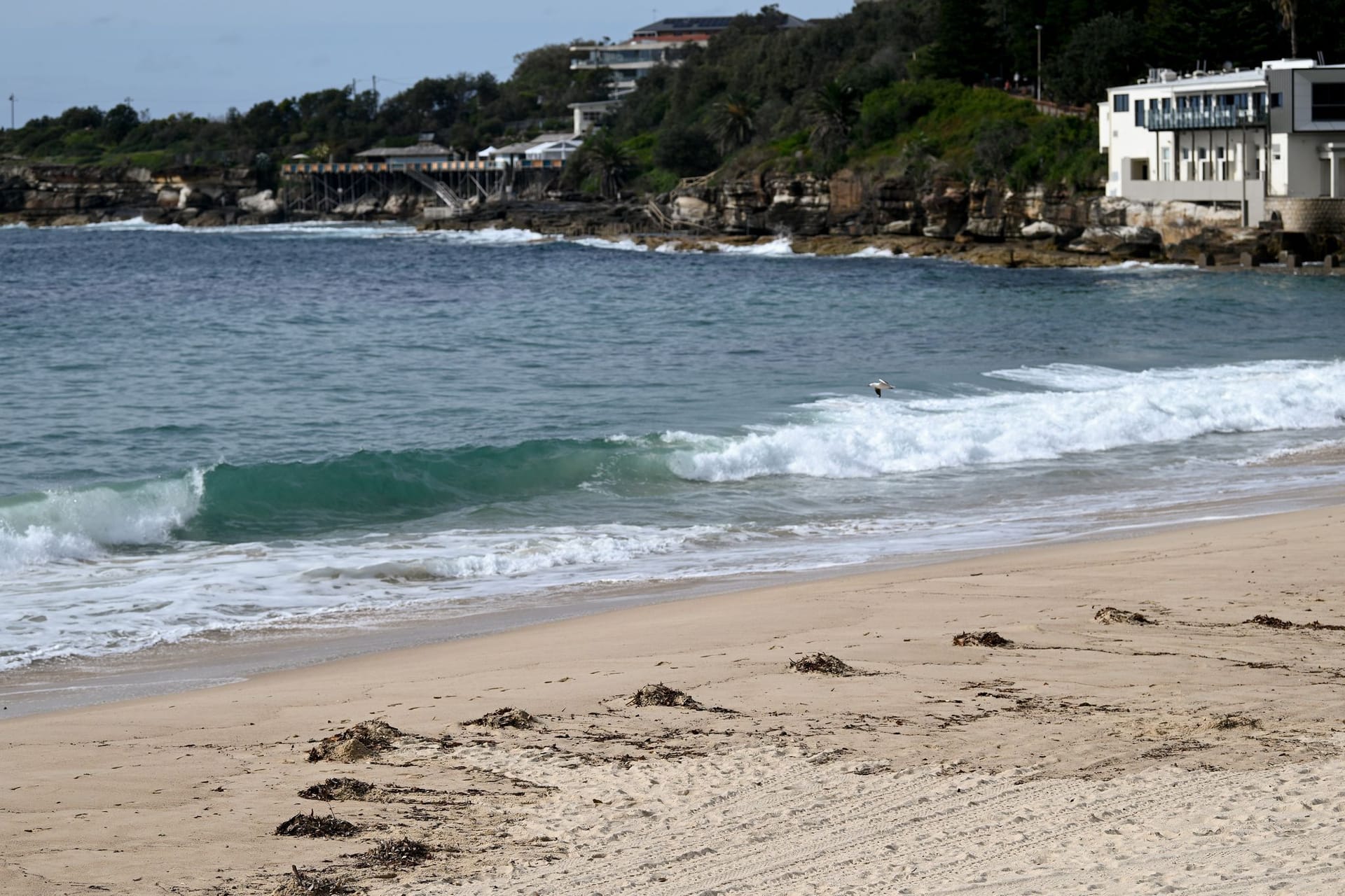 Strand in Sydney schließt wegen "mysteriöser Kugeln"