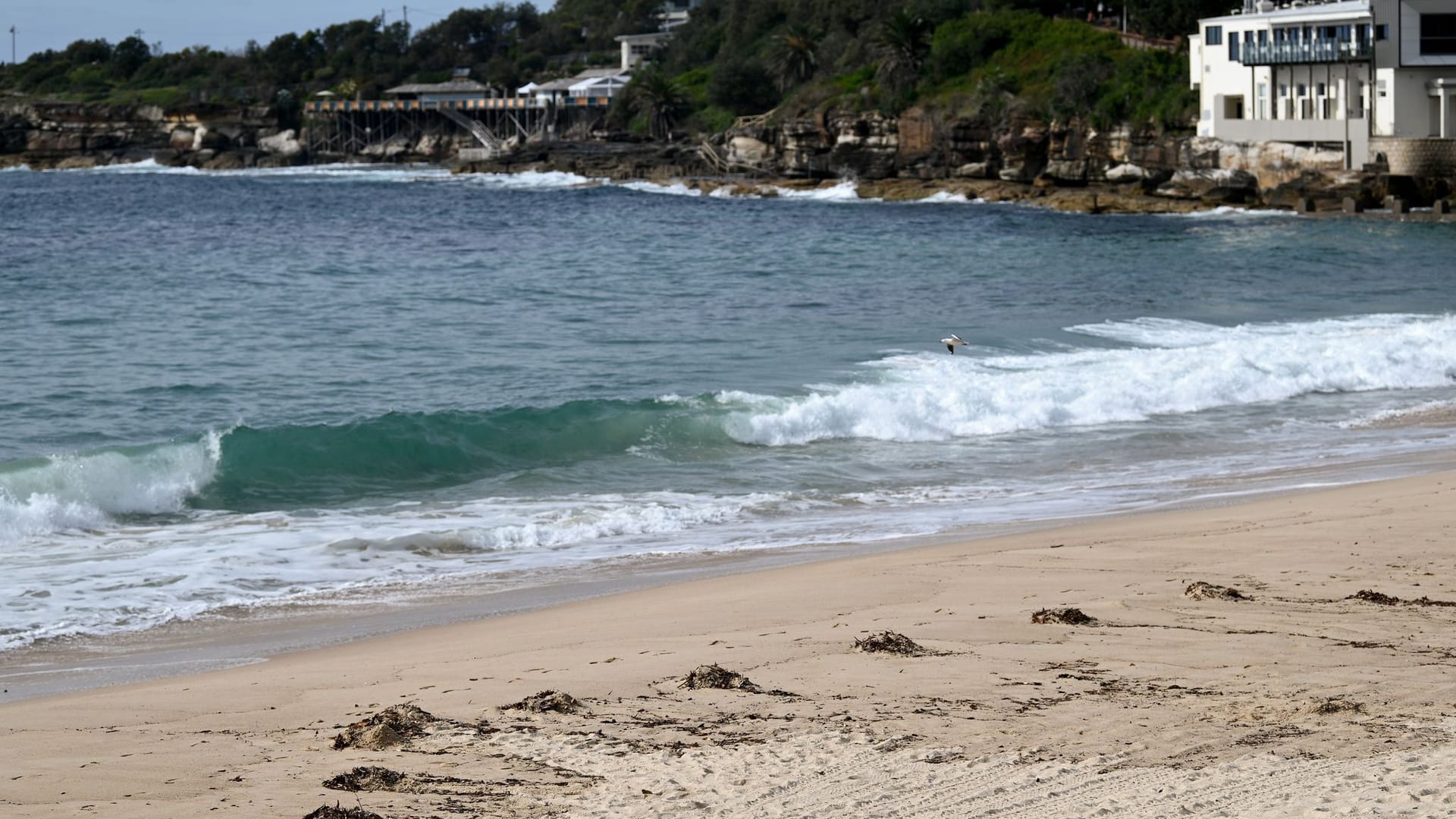 Strand in Sydney schließt wegen "mysteriöser Kugeln"