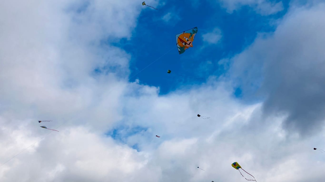 Drachenfest in Braunschweig: Tausende Besucher wollen sich das Spektakel Jahr für Jahr nicht entgehen lassen.