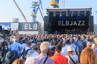 Zahlreiche Musikfans feiern am Hamburger Hafen auf dem Elbjazz-Festival (Archivbild). In der Bildmitte steht die Bühne, links im Hintergrund sind Kräne einer Werft zu sehen. Der Himmel ist blau, es scheint die Sonne.