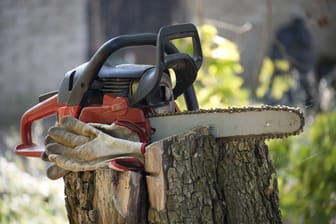 Perfekt für Herbstarbeiten: Diverse Kettensägen von Einhell, Bosch und Co. wurden in einem Vergleich gegenübergestellt. (Symbolbild)