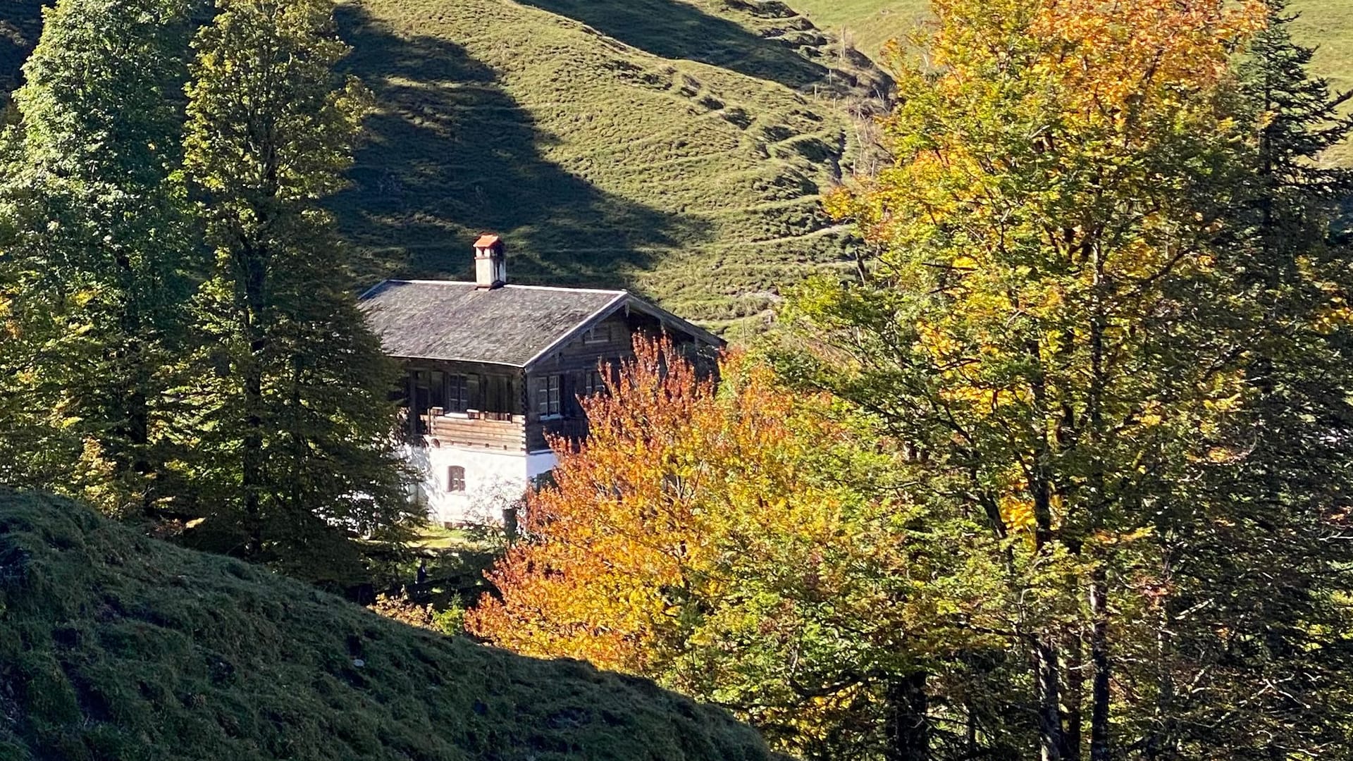 Die Königsalm am Tegernsee: Hier kann man den Frühling bei einer moderaten Wanderung mit der ganzen Familie in den Bergen genießen. Die Königsalm am Tegernsee: Hier kann man den Frühling bei einer moderaten Wanderung mit der ganzen Familie in den Bergen genießen.