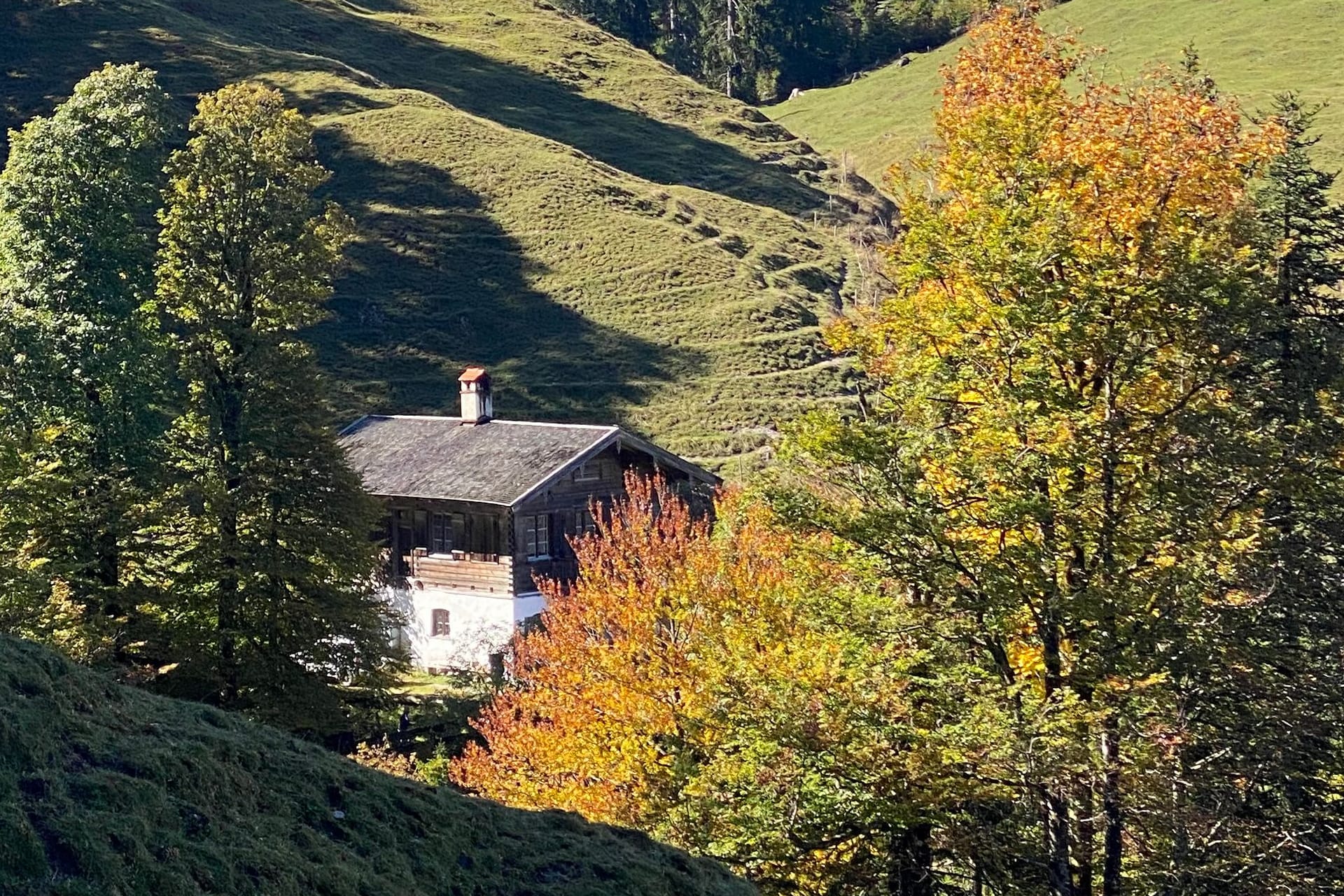 Die Königsalm am Tegernsee: Hier kann man den Frühling bei einer moderaten Wanderung mit der ganzen Familie in den Bergen genießen. Die Königsalm am Tegernsee: Hier kann man den Frühling bei einer moderaten Wanderung mit der ganzen Familie in den Bergen genießen.