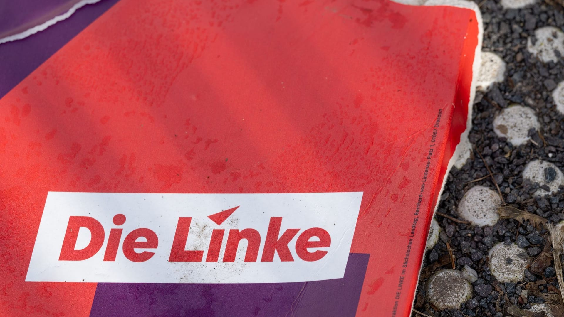 Die Linke