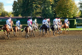 Pferderennen (Symbolbild): Ein 18-jähriger Jockey wurde schwer verletzt.