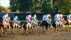 18-jähriger Jockey bei Sturz schwer verletzt