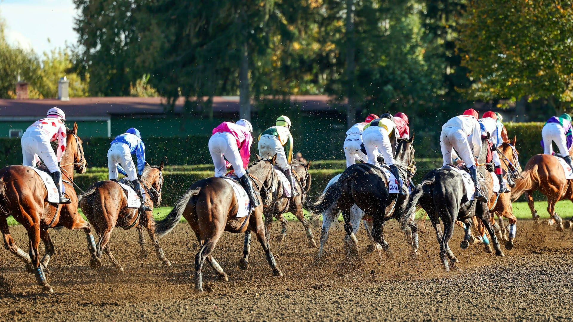 Pferderennen (Symbolbild): Ein 18-jähriger Jockey wurde schwer verletzt.