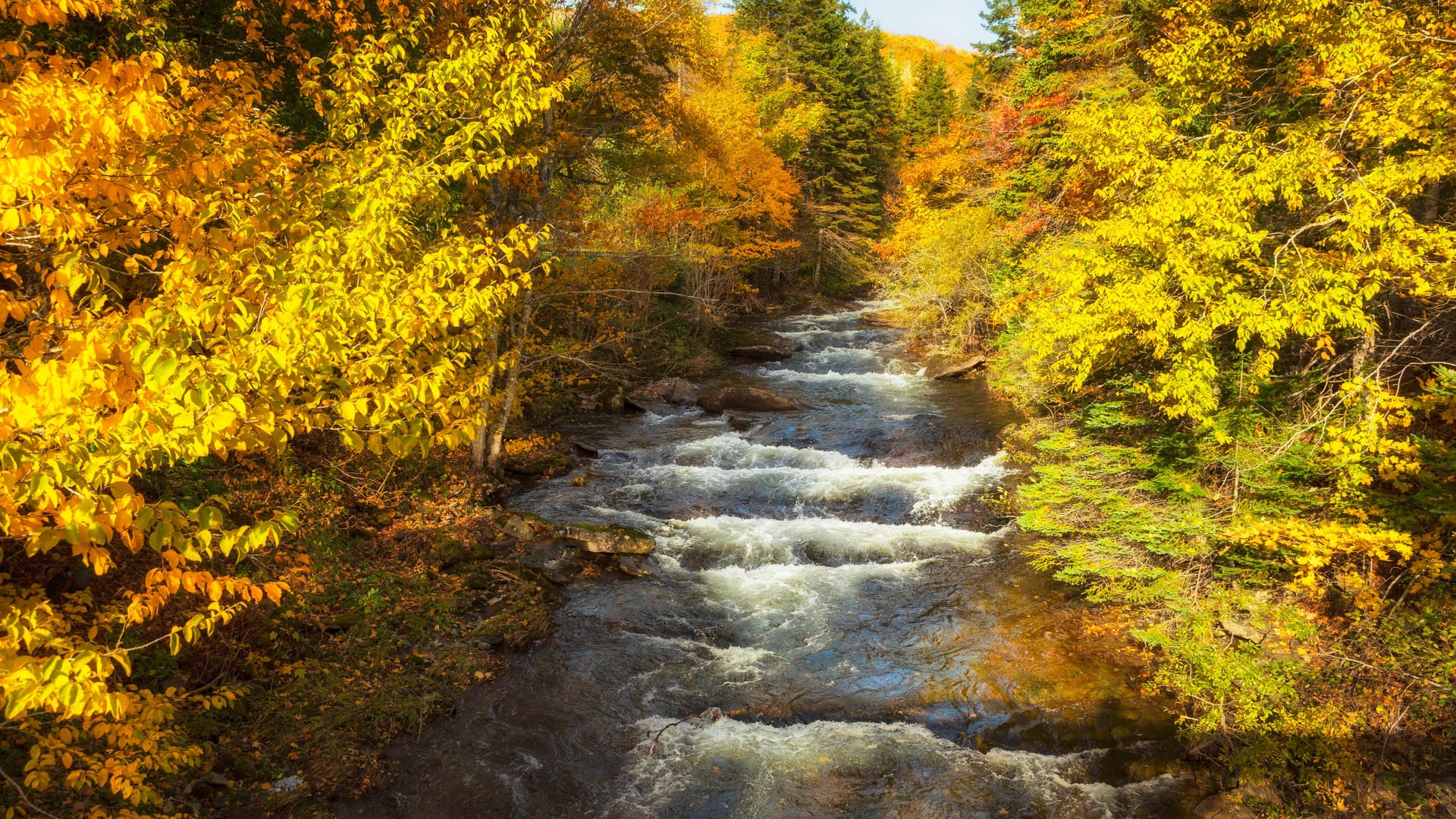 Der Middle River West in Cape Breton.