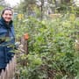 Tiny Forest: Frankfurt setzt auf Mini-Wälder gegen Klimakrise