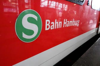 S-Bahn-Waggon am Hamburger Hauptbahnhof (Symbolbild): An mehreren Brücken im Stadtgebiet stehen Arbeiten an.