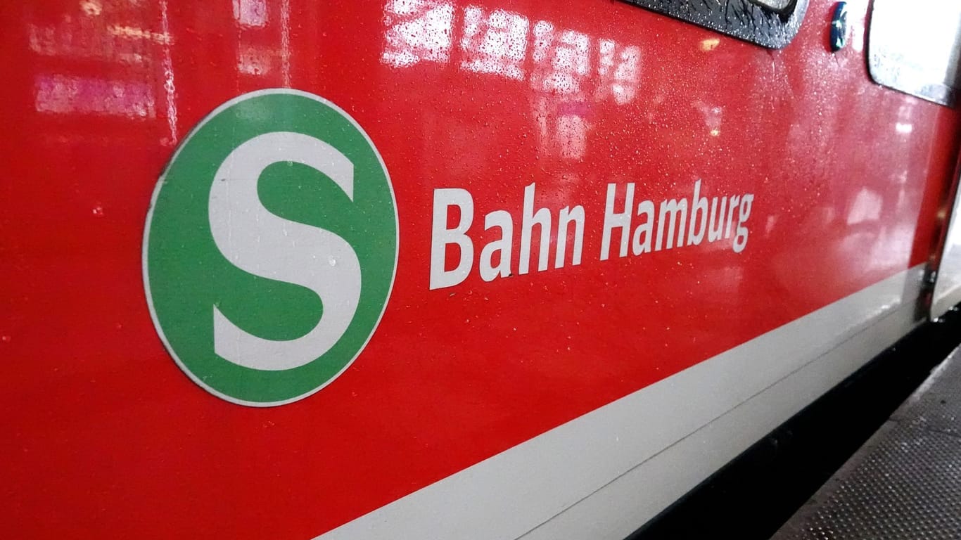 S-Bahn-Waggon am Hamburger Hauptbahnhof (Symbolbild): An mehreren Brücken im Stadtgebiet stehen Arbeiten an.