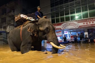 Hochwasser in Thailand