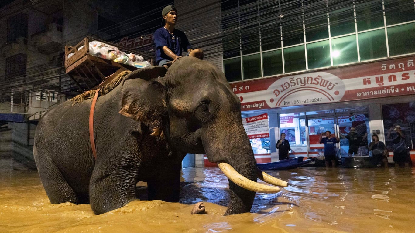 Hochwasser in Thailand