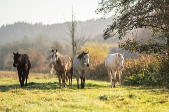 Der Deutsche Wetterdienst veröffentlicht die Monatsbilanz