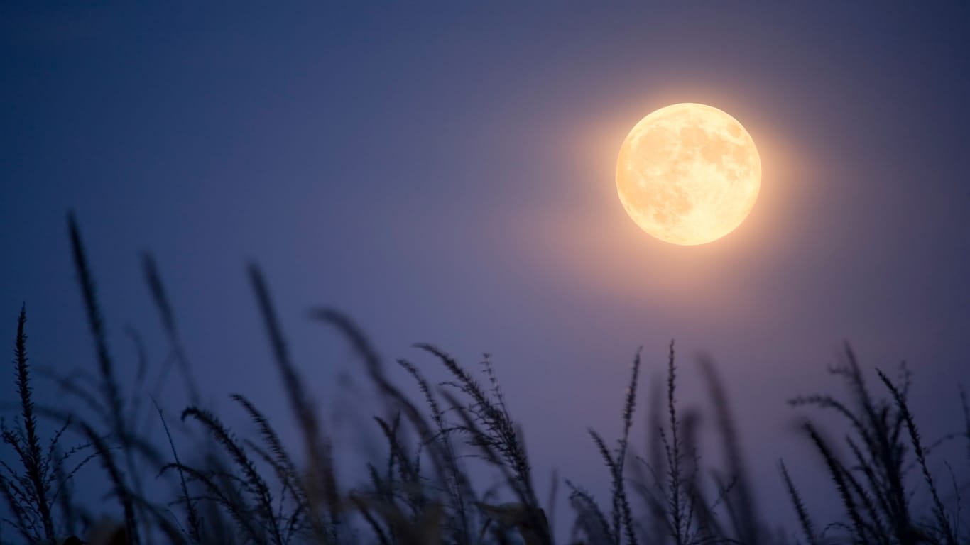 Vollmond: Die der Erde zugewandte Seite des Mondes wird vollständig von der Sonne angestrahlt.