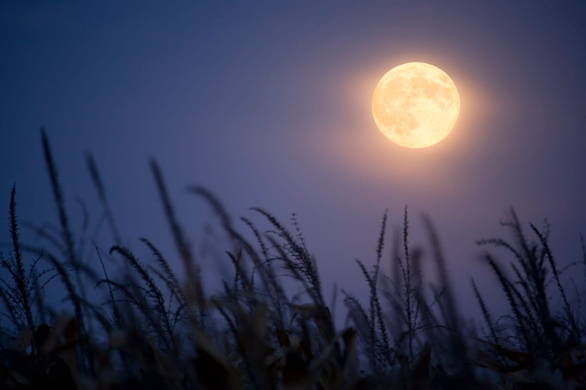 Vollmond: Die der Erde zugewandte Seite des Mondes wird vollständig von der Sonne angestrahlt.