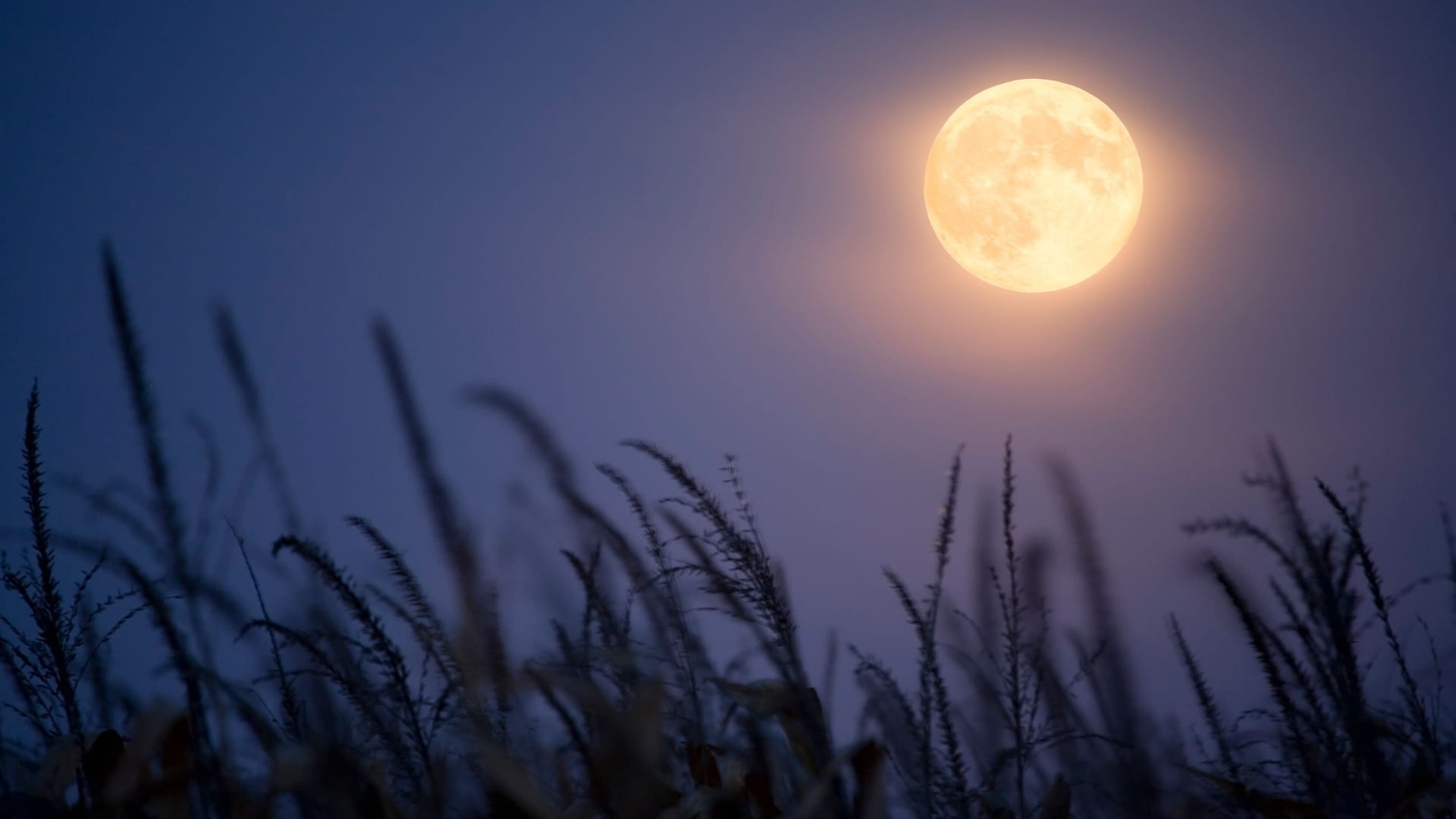 Vollmond: Die der Erde zugewandte Seite des Mondes wird vollständig von der Sonne angestrahlt.