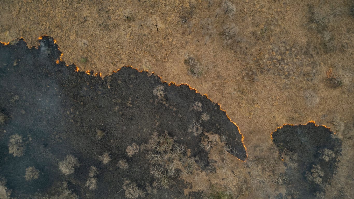 Indigene Feuerwehrleute kämpfen in Brasilien um ihr Territorium