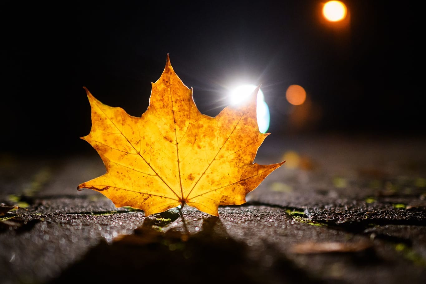 Herbst in Niedersachsen