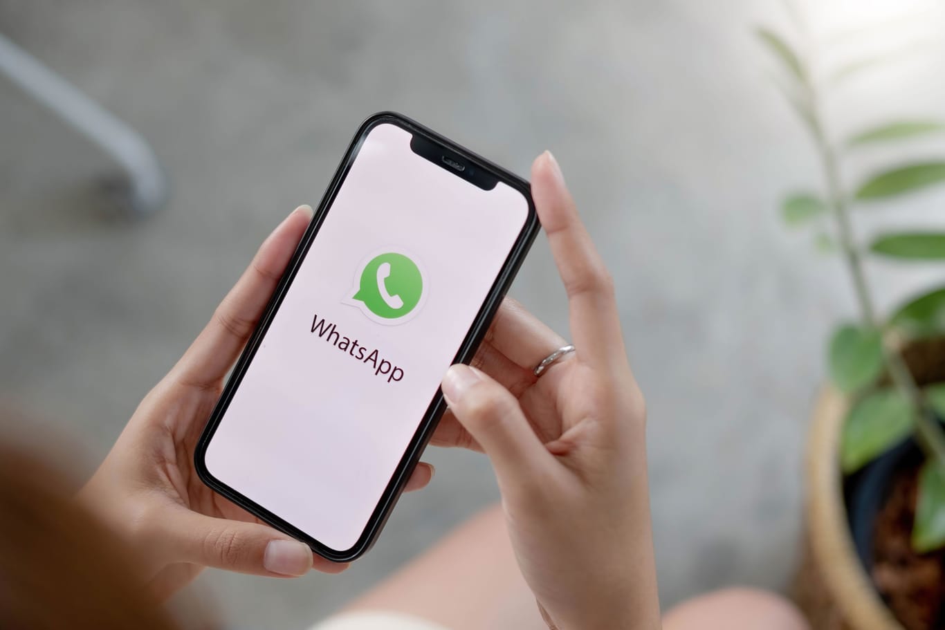 Chat-Nachrichten bei WhatsApp: So erfahren Sie, wie viele Sie bereits verschickt haben.