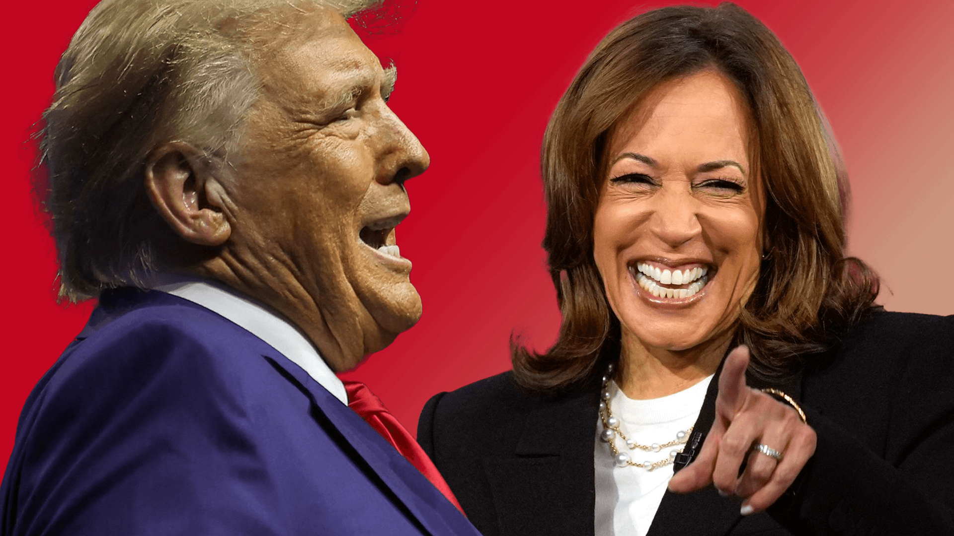 Donald Trump und Kamala Harris: Am 5. November stehen nicht nur sie zur Wahl.