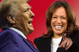 Donald Trump und Kamala Harris: Am 5. November stehen nicht nur sie zur Wahl.