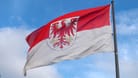 Flag of Brandenburg flying in the wind with a blue sky background.