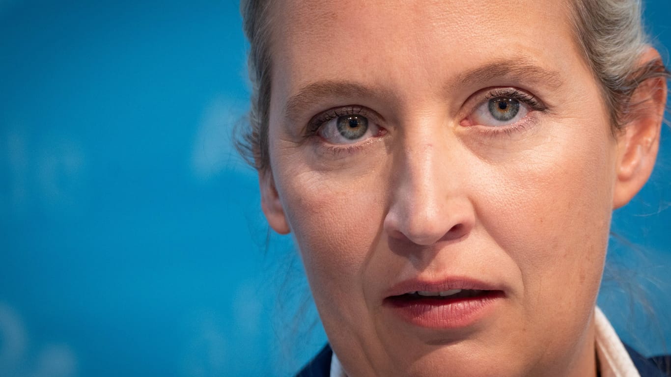 Pressekonferenz mit der AfD-Parteivorsitzenden Alice Weidel.