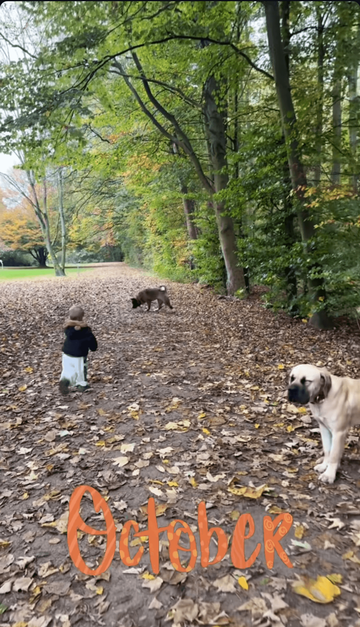 Auch Laura Maria Rypa zeigt sich bei einem Spaziergang durch den Wald.