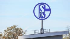 Schalke braucht Geld – und hat eine kreative Idee