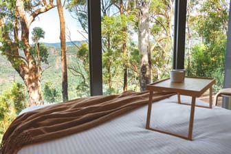 Queensland: spektakulärer Ausblick auf den Lamington-Nationalpark