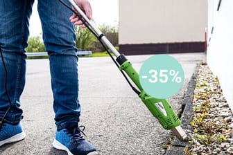 Im Aldi-Onlineshop gibt es einen Unkrautvernichter für weniger als 25 Euro im Angebot.