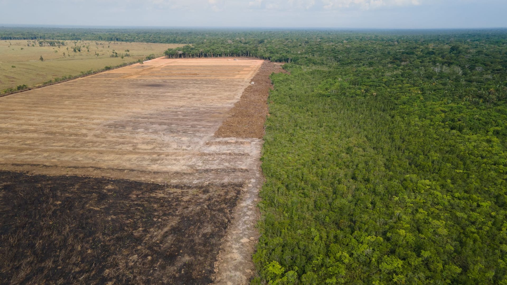 Rodung im brasilianischen Amazonasgebiet Rodung im brasilianischen Amazonasgebiet