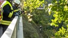 Rettungskräfte bei der Bergung der Leiche: Ein Mann hat gestanden, eine Bekannte getötet zu haben.