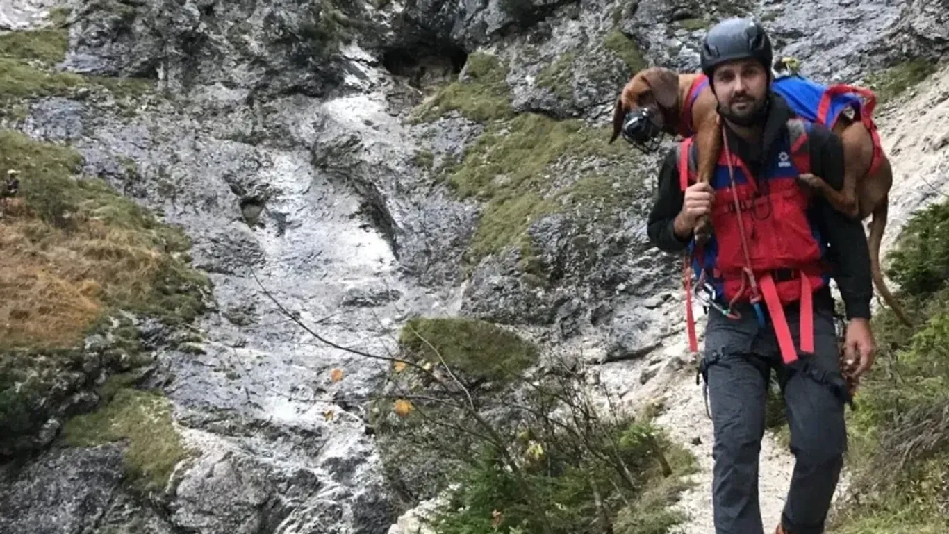 Hündin Nala blieb bei der Rettungsaktion ganz ruhig.