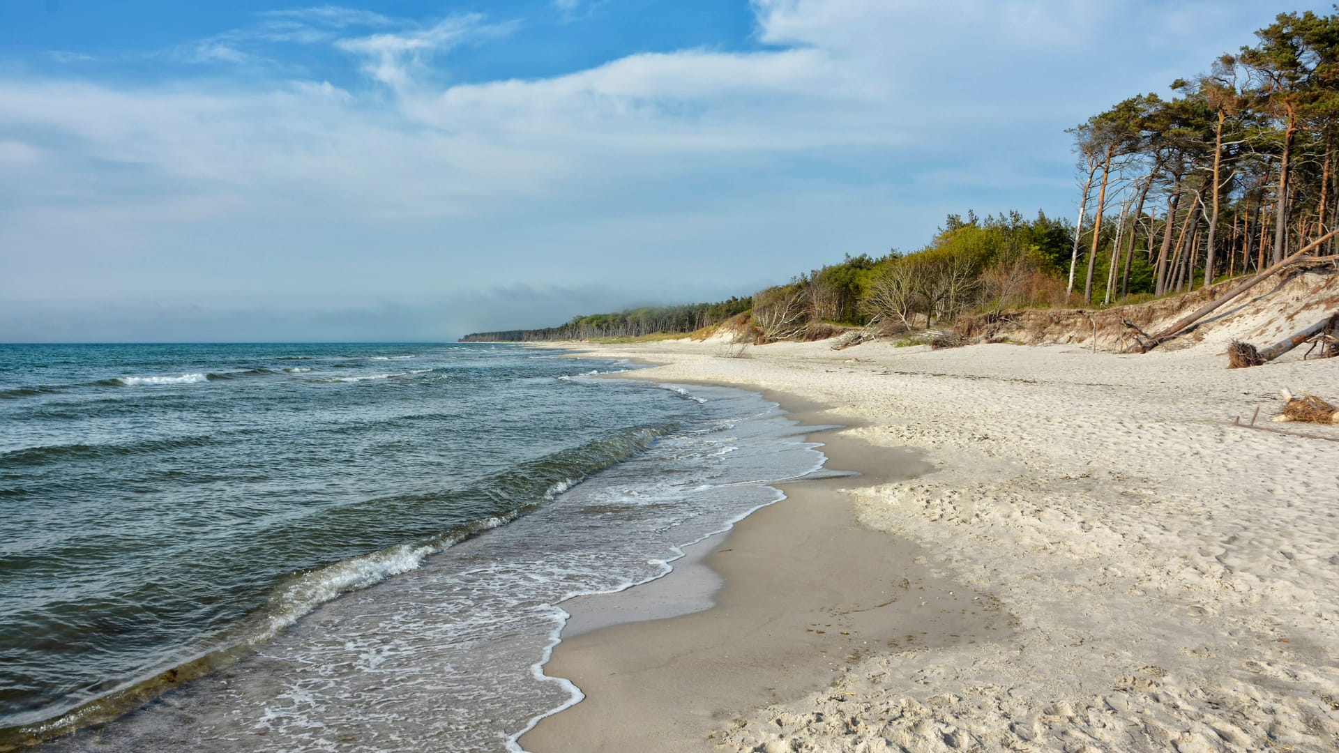 Der Weststrand an der Ostsee.