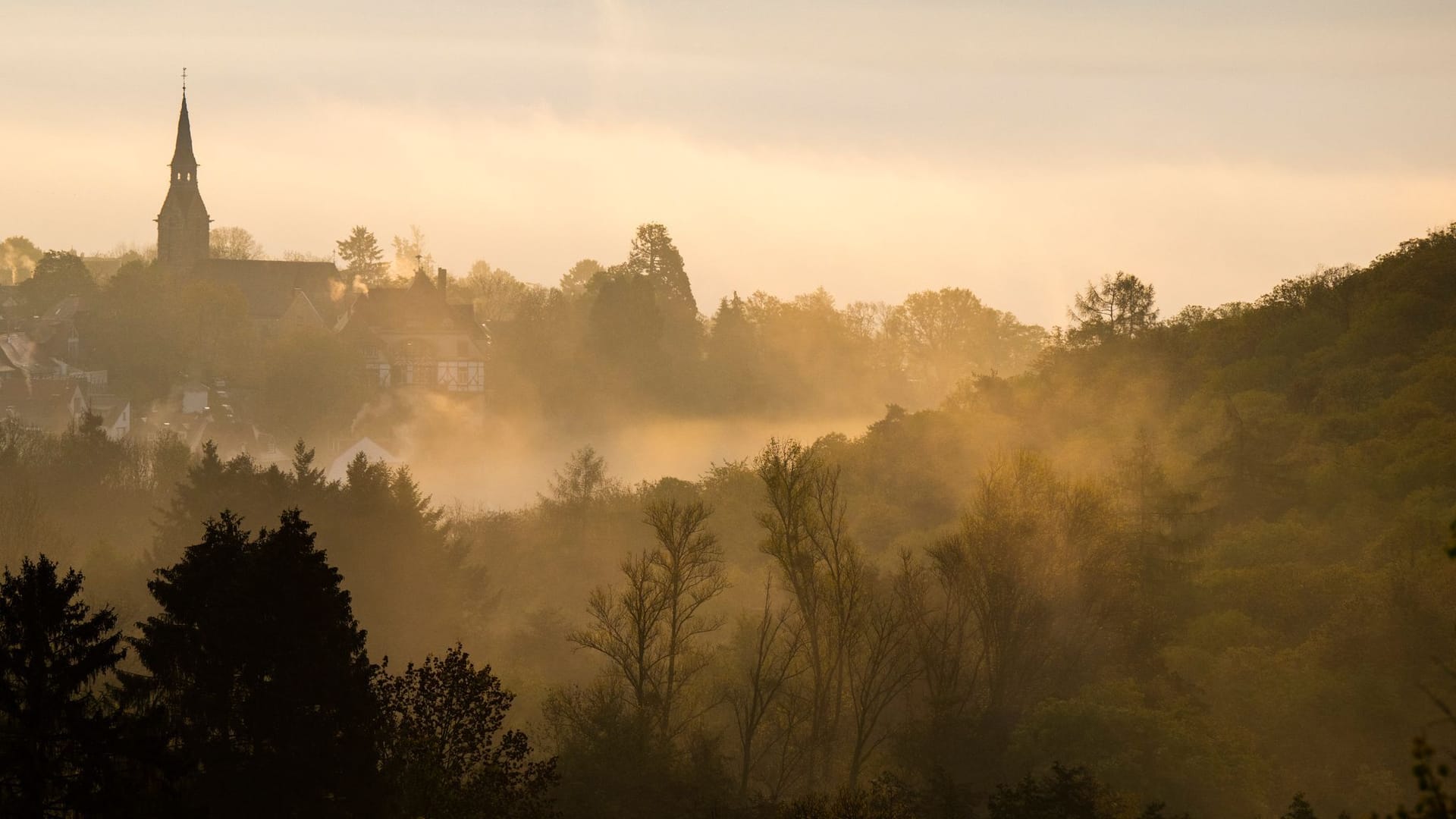 Frühnebel im Taunus