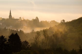 Frühnebel im Taunus