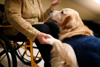 Hunde gelten als treue Begleiter: Sie können u. a. psychischen Stress lindern.