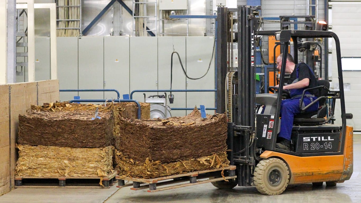 Ein Gabelstapler transportiert eine Palette mit gepressten Tabakblättern in der F6 Cigarettenfabrik Dresden