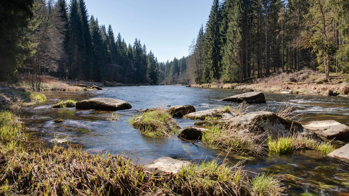 Ausflugstipp-Bayerisch-Kanada-Wander-und-Kanutouren-ab-M-nchen