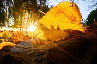 Herbst in Hannover