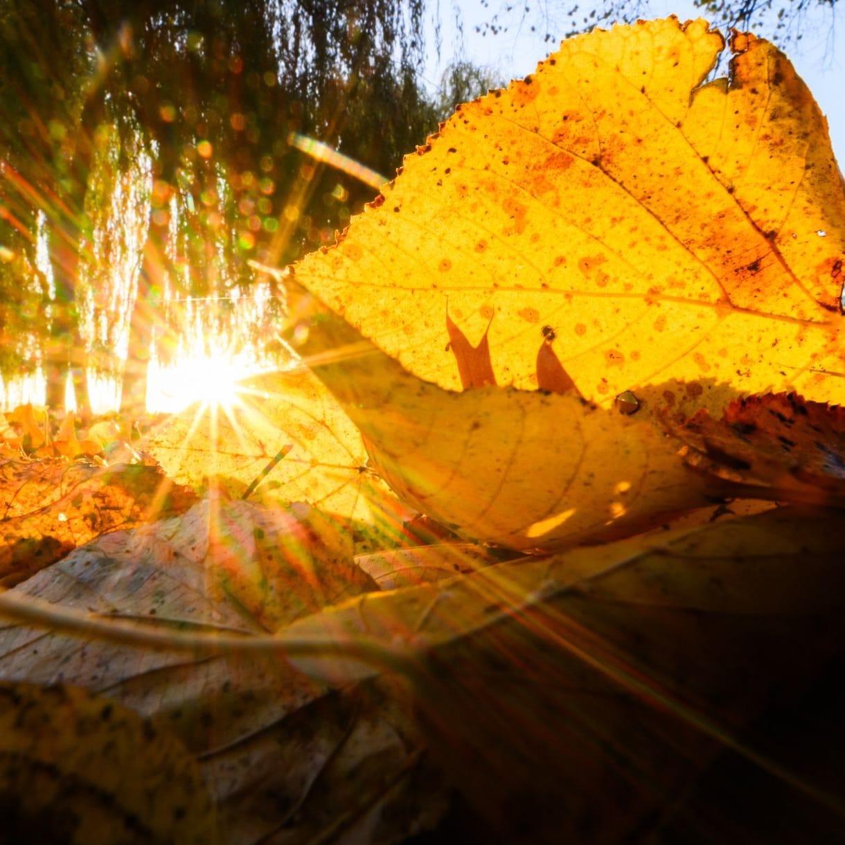 Herbst in Hannover