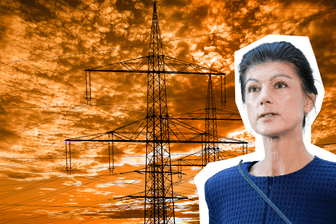 Sahra Wagenknecht will die Netzentgelte abschaffen.