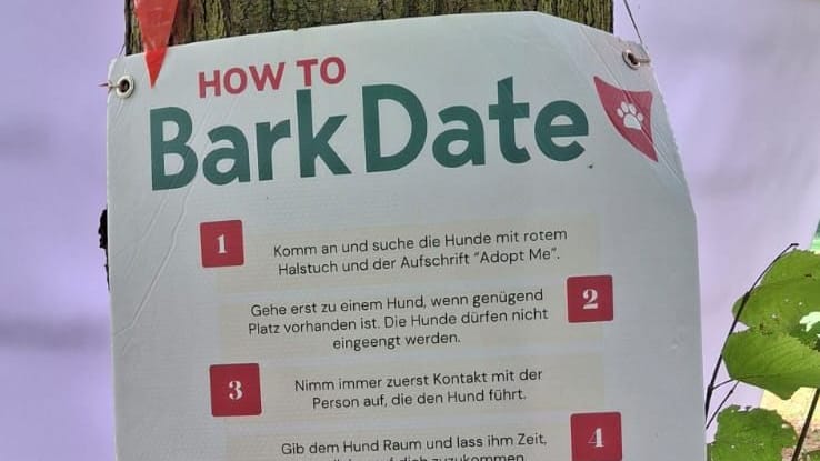 Die Regeln des Bark Date: "Die Hunde dürfen nicht eingeengt werden."