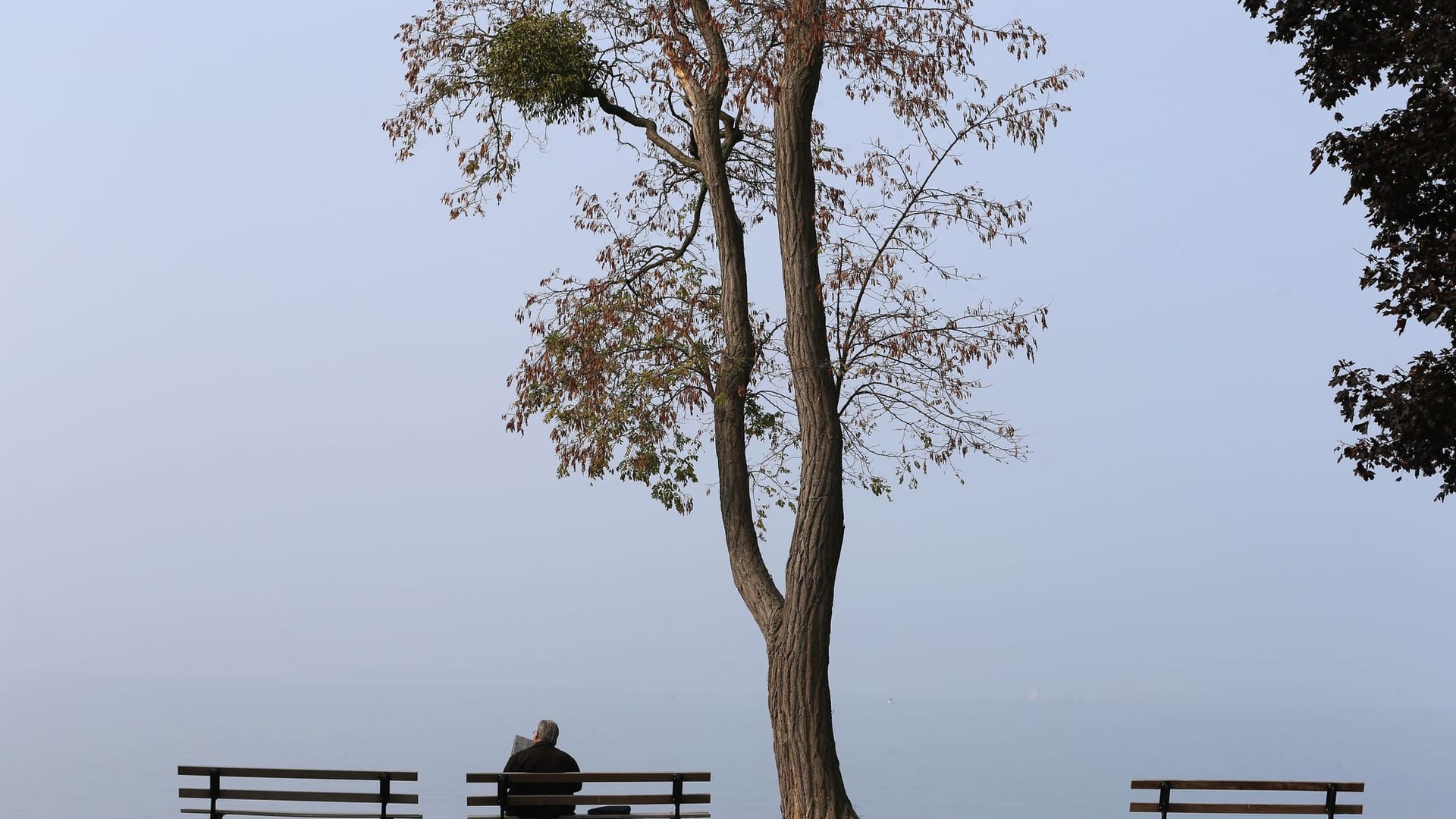 Zeitungslektüre im Nebel