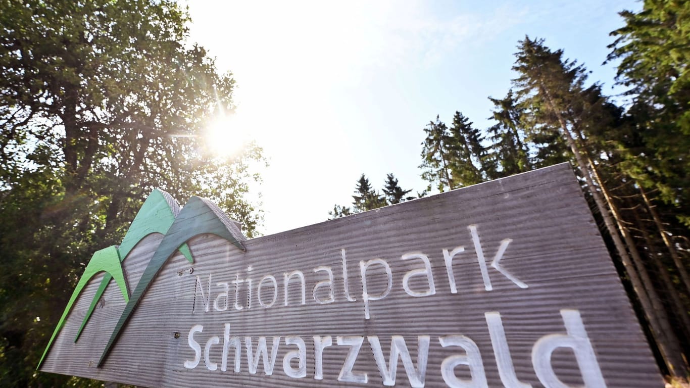 Nationalpark Schwarzwald