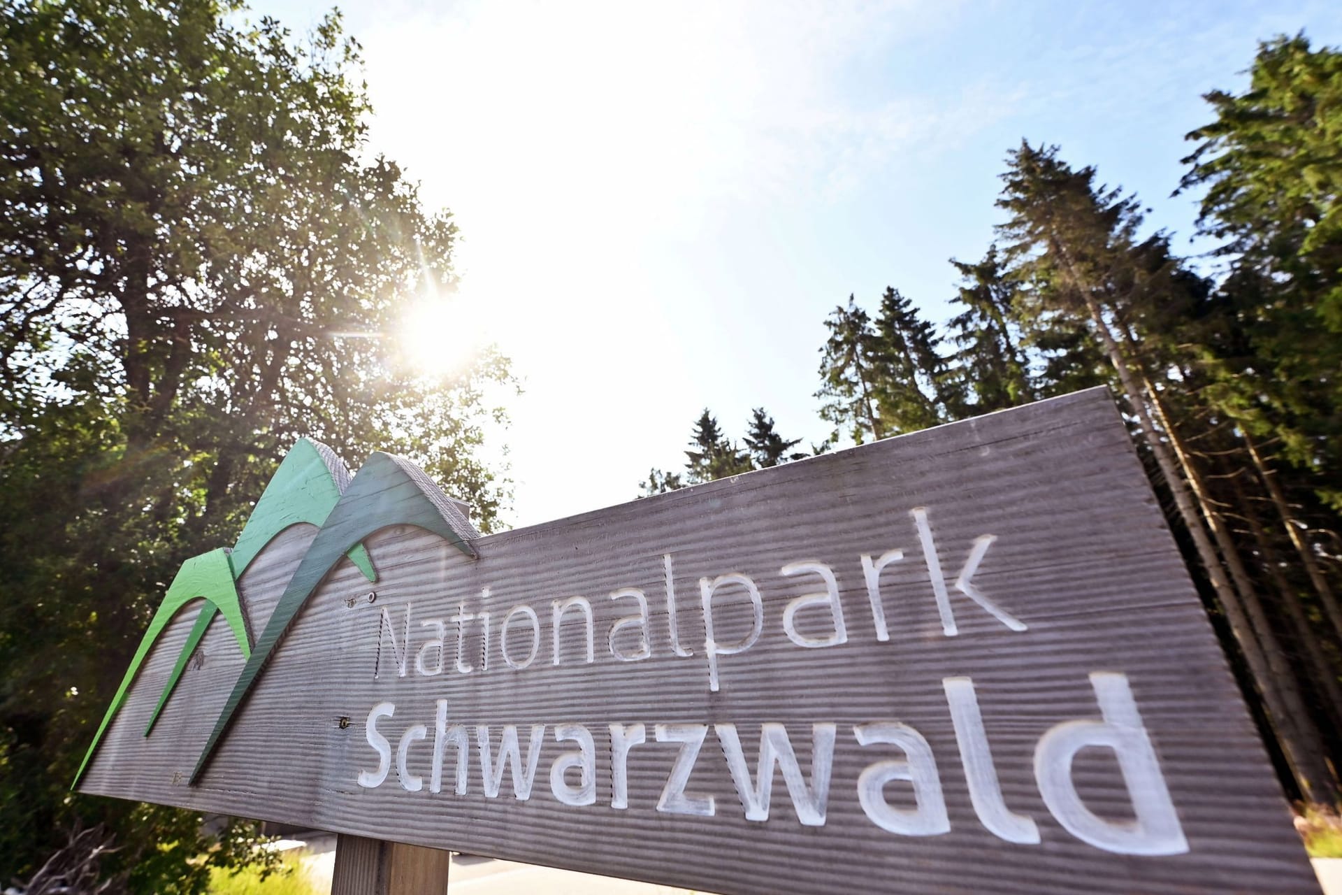 Nationalpark Schwarzwald