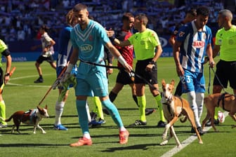 Spieler von Espanyol Barcelona mit den Hunden ohne Zuhause: Die Partie gegen Mallorca war aus doppelter Hinsicht ein Erfolg für die Spanier.